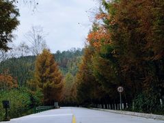 -光雾山旅游景区