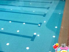 -七宝中学游泳馆