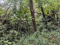 -三门江国家森林公园