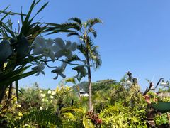 -自然餐厅(Phuket)