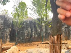 -武汉动物园