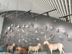 -中国湿地博物馆