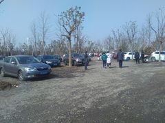 -广富林郊野公园-P5停车场