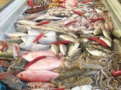 -龙眼南白粥六顺白粥