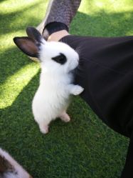 -萌宠亲子动物乐园(槐房万达店)