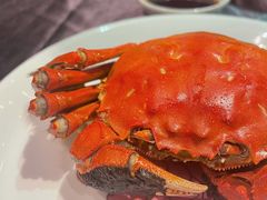 清蒸大闸蟹-蟹榭·本帮江浙菜·蟹宴(五角场合生汇商场店)