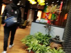 -粥旺庄(芳村店)
