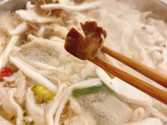 平菇-芭夯兔·无骨兔汤锅(华阳店)