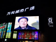 -万科城市广场(厚街店)