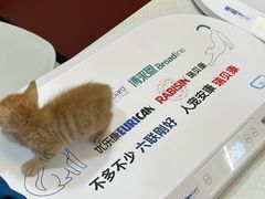 -御宝贝24h宠物医院·转诊中心·CT核磁血透中心(厦门总院)