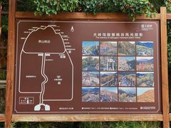 -大岭沟猕猴桃谷风景区