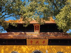 -亭林园-华藏寺