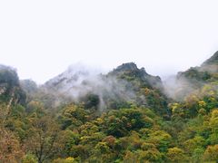 -青峰峡国家森林公园