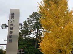 -金泽21世纪美术馆