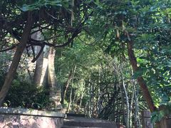 -天台山赤城山景区