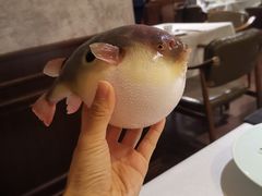 -肆月河豚·新淮扬(金融街店)