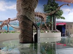 -延庆地质公园博物馆