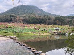 -广州市石门国家森林公园