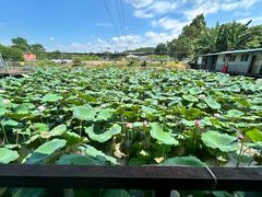 -山旮旯农家菜(曲江店)
