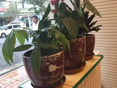 -胡子王扁豆面旗子(五一路店)