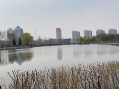 -塘沽森林公园