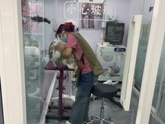-爱洗澡的猫(望京店)