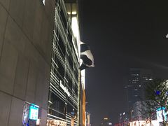 -成都明宇丽雅饭店