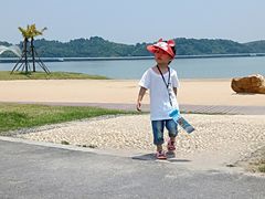 -柳湖沙月沙滩公园