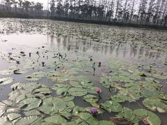 -长兴岛郊野公园农场食堂
