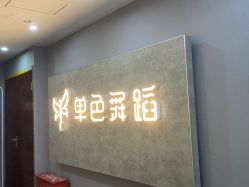-单色舞蹈