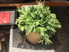 -匠和风精致料理(成都龙湖滨江天街店)