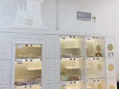 -小猫来了·猫舍(红山六九七九店)