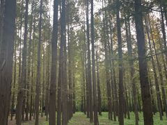 -河南省黄河迎宾馆
