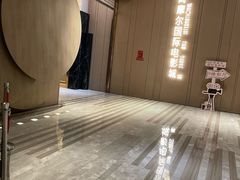 -武商摩尔影城(国广IMAX激光店)