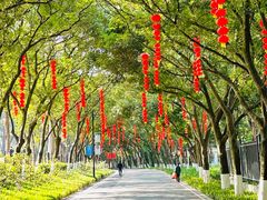 -广州市白云山风景名胜区