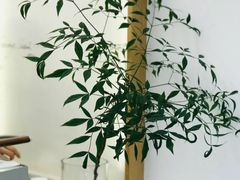 -Onirii Coffee(长乐路店)