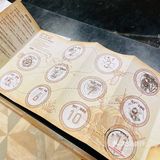 小草探店の沉浸式撸宠体验