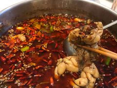 -蛙两只美蛙鱼头火锅(恒茂店)