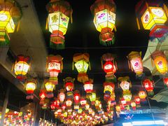 -锦江乐园舞狸花花游园会(夜场专享)
