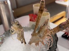 -陈记顺和潮汕鲜牛肉火锅(西门口广场店)