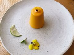 芒果芝士-EN SPACE恩空间