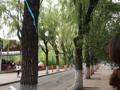 -哈尔滨文化公园