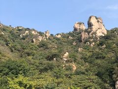-大岭沟猕猴桃谷风景区