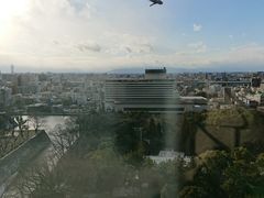 -名古屋城