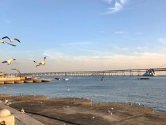 -星海湾跨海大桥