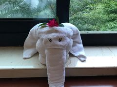 -天目湖涵田半山温泉