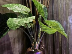 -观唐足道SPA养生会馆(南湖店)