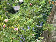 -杭州西湖风景名胜区-满觉陇四眼井
