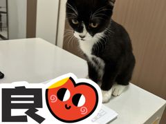 -派特宠物医院(圆融广场店)