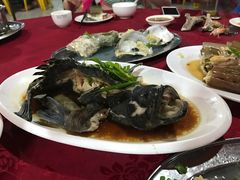 -板桥海鲜广场11排2号